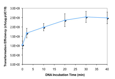 T7 Express lysY Competent E. coli (High Efficiency) | NEB